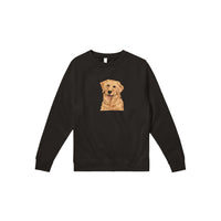 Golden Boy Color Pop(lg) Premium Crewneck Sweatshirt