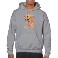 Golden Boy Color Pop(lg) Pullover Hoodie