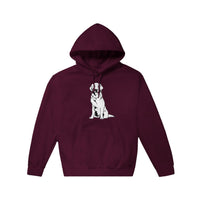 Golden Boy Classic(lg) Pullover Hoodie