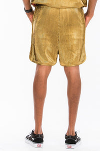 Metallic Shorts