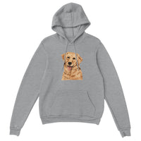 Golden Boy Color Pop(lg) Pullover Hoodie