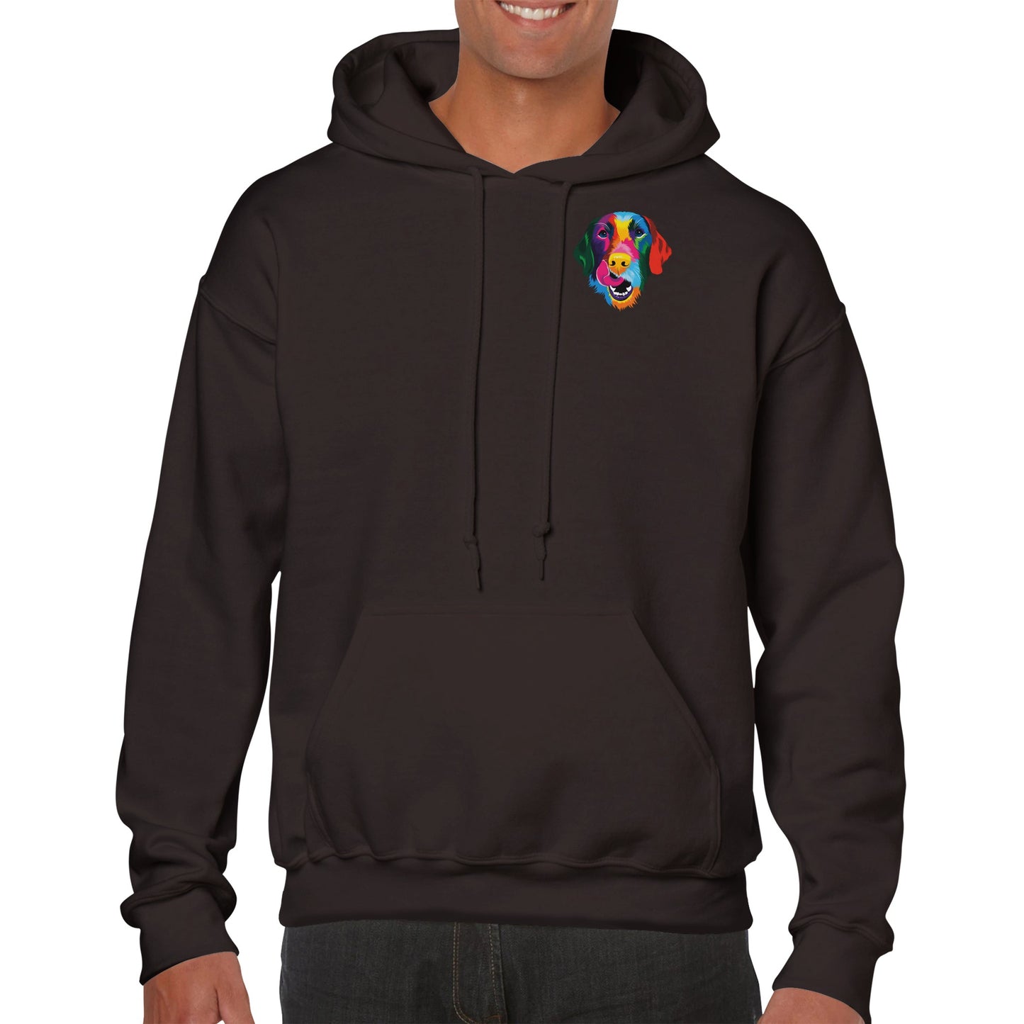 Color Silly Lab Printed Pullover Hoodie