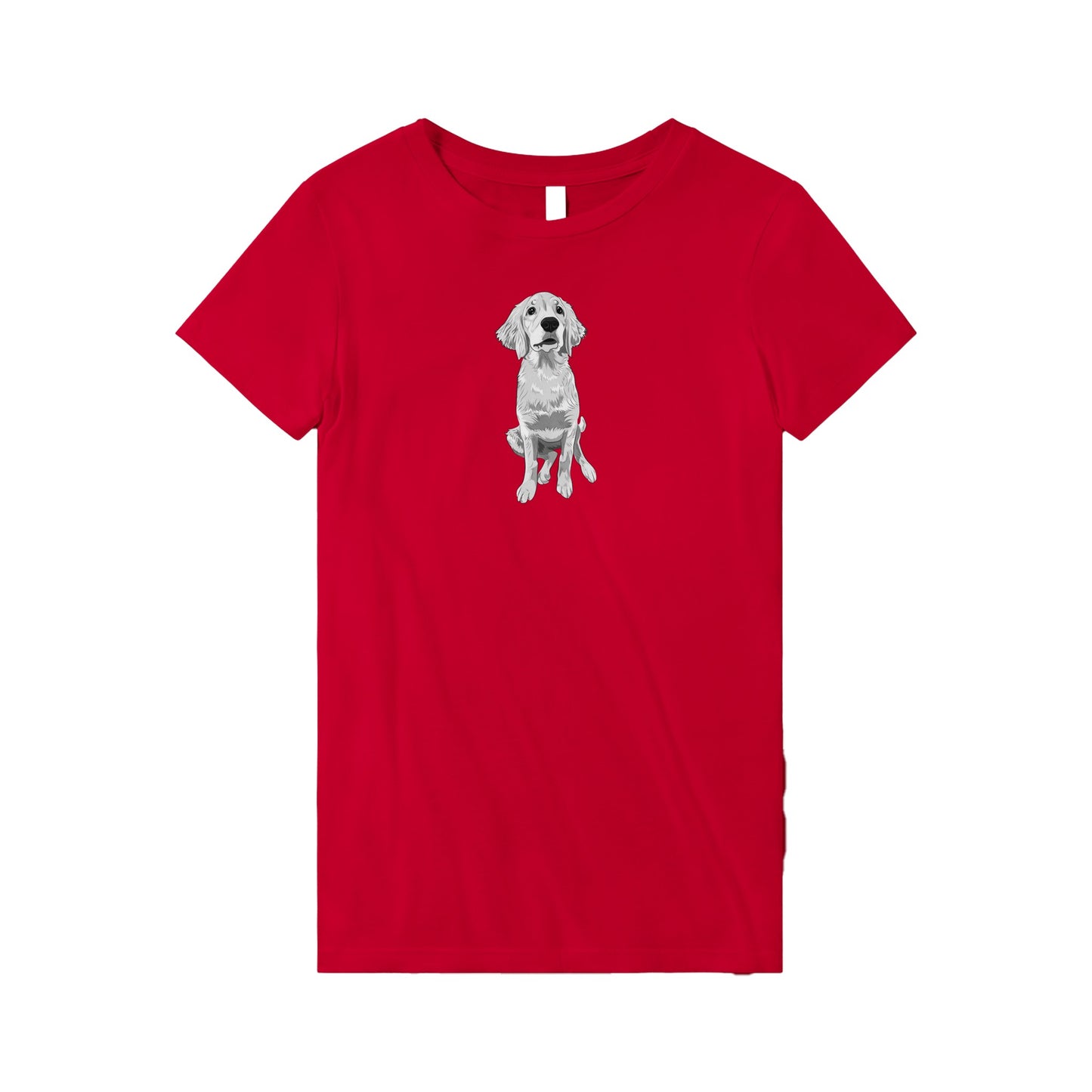 Doodle Boy Classic(lg) Women's T-Shirt