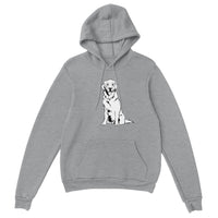 Golden Boy Classic(lg) Pullover Hoodie