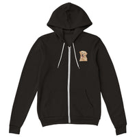 Golden Boy Color Pop Premium Zip Hoodies