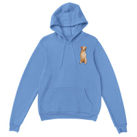 Max Printed Pullover Hoodie