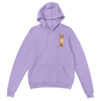 Max Printed Pullover Hoodie