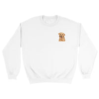 Golden Boy Color Pop(sm) Crewneck Sweatshirt