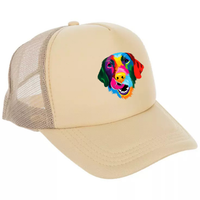 Abstract Silly Lab Trucker Hat - Customizable