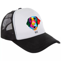 Abstract Silly Lab Trucker Hat - Customizable