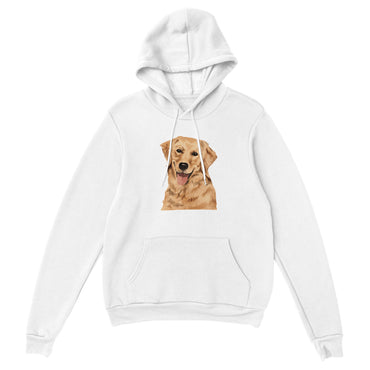 Golden Boy Color Pop(lg) Pullover Hoodie