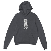 Doodle Boy Classic(lg) Hoodie