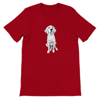 Doodle Boy Classic(lg) Men's T-Shirt