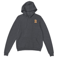 Golden Boy Color Pop(sm) Pullover Hoodie