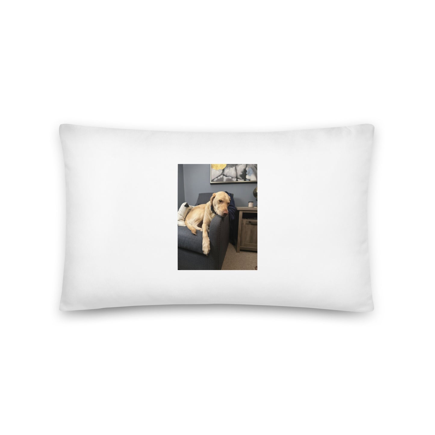 Special Edition Silly Lab Office Days Featuring Inspiration MAX Throw Pillow