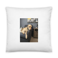 Special Edition Silly Lab Office Days Featuring Inspiration MAX Throw Pillow