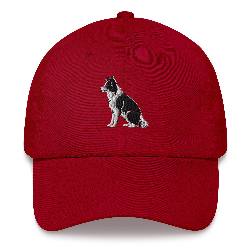 Embroidered Collie Craze Boy Dad Hat