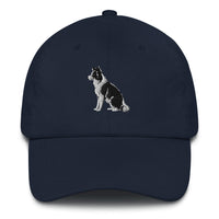 Embroidered Collie Craze Boy Dad Hat