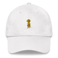 Doodle Boy Classic Embroidered Dad Hat