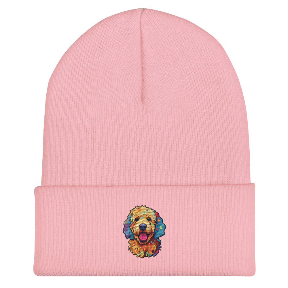 Doodle Boy Color Pop Embroidered Cuffed Beanie