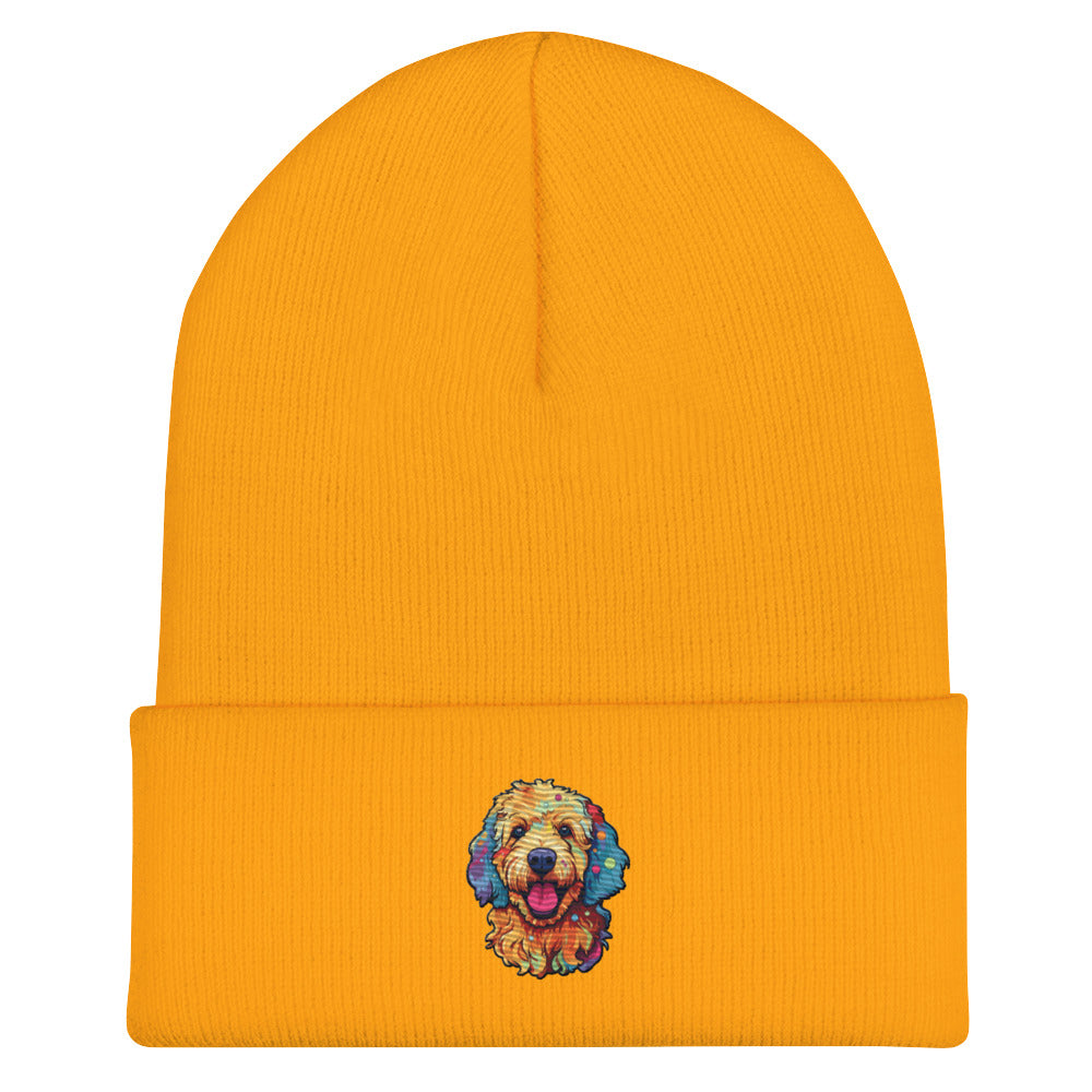 Doodle Boy Color Pop Embroidered Cuffed Beanie