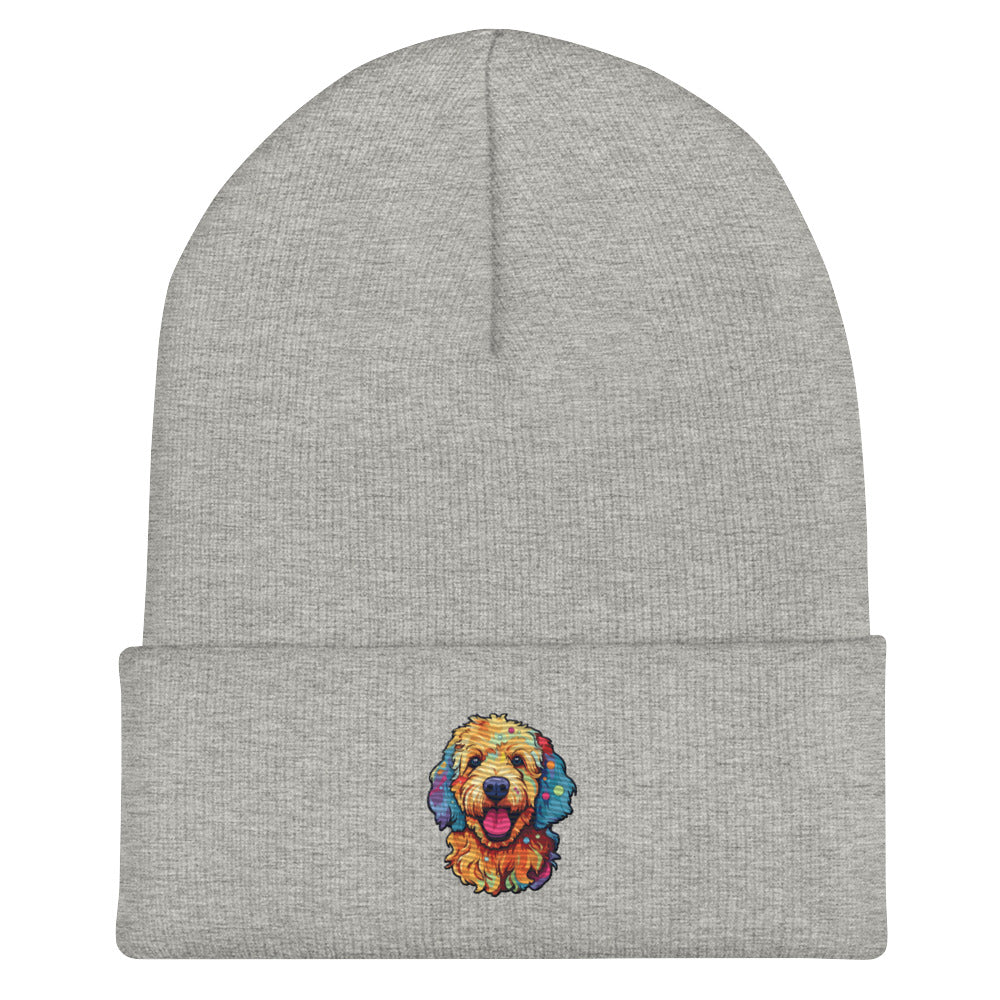 Doodle Boy Color Pop Embroidered Cuffed Beanie