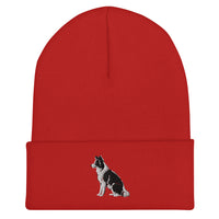 Embroidered Collie Craze Boy Cuffed Beanie