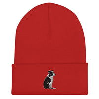 Embroidered Collie Craze Girl Cuffed Beanie