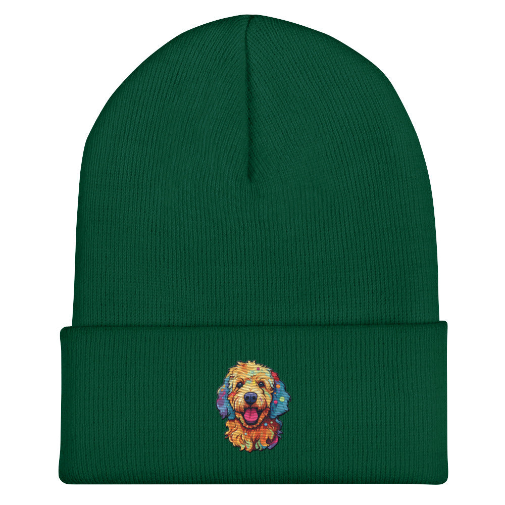 Doodle Boy Color Pop Embroidered Cuffed Beanie