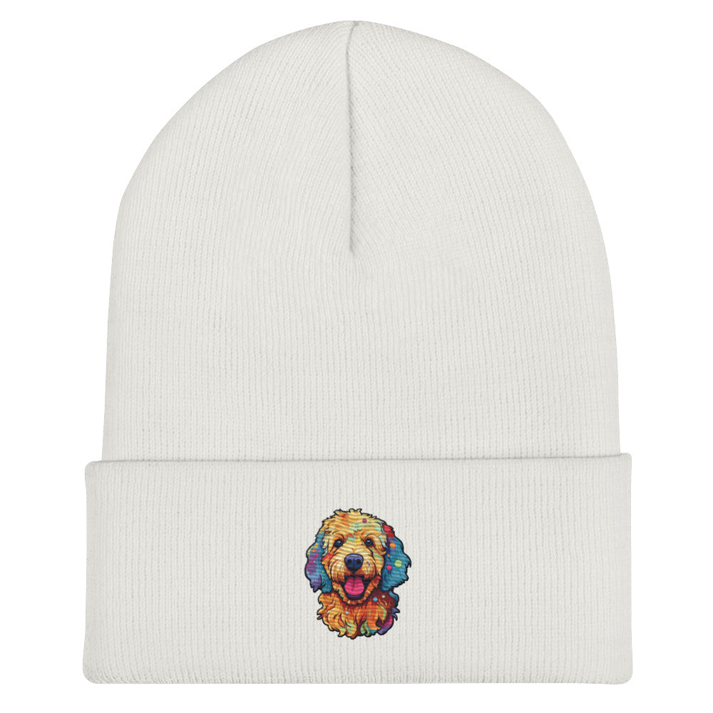 Doodle Boy Color Pop Embroidered Cuffed Beanie