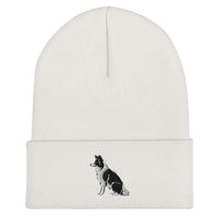 Embroidered Collie Craze Boy Cuffed Beanie