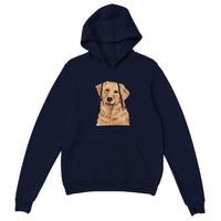 Golden Boy Color Pop(lg) Pullover Hoodie