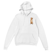 Max Printed Pullover Hoodie