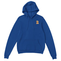 Golden Boy Color Pop(sm) Pullover Hoodie