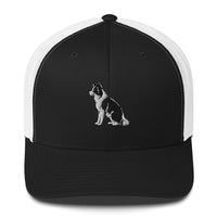 Embroidered Collie Craze Boy Trucker Cap