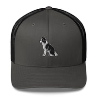 Embroidered Collie Craze Boy Trucker Cap