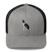 Embroidered Collie Craze Boy Trucker Cap