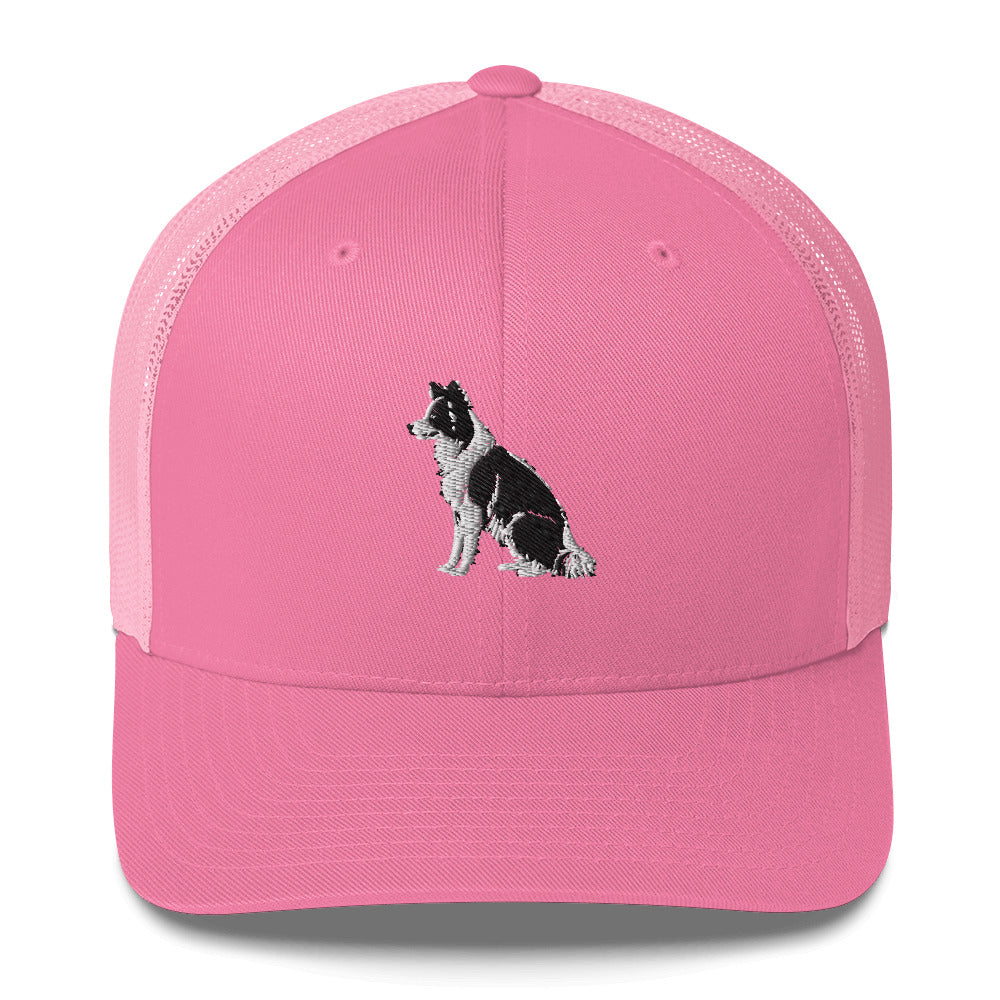 Embroidered Collie Craze Boy Trucker Cap