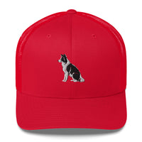 Embroidered Collie Craze Boy Trucker Cap