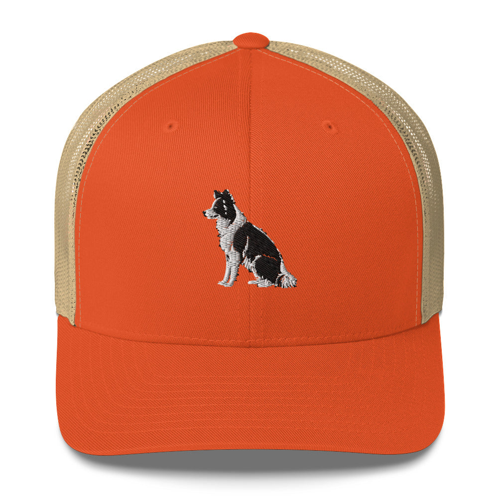 Embroidered Collie Craze Boy Trucker Cap