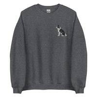 Embroidered Collie Craze Boy Sweatshirt