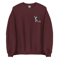 Embroidered Collie Craze Boy Sweatshirt