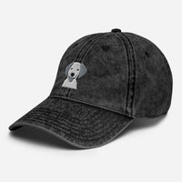 Embroidered Classic Silly Lab Vintage Cotton Twill Cap