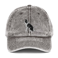 Embroidered Collie Craze Boy Vintage Cotton Twill Cap