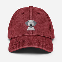 Embroidered Classic Silly Lab Vintage Cotton Twill Cap