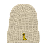 Embroidered Golden Boy Waffle Knit Beanie