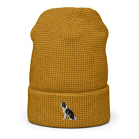 Embroidered Collie Craze Boy Waffle Beanie