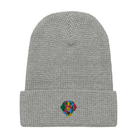 Embroidered Color Silly Lab Waffle beanie