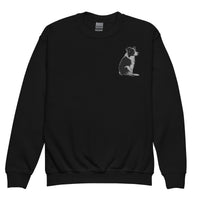 Embroidered Collie Craze Girl Youth crewneck sweatshirt