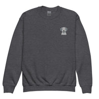 Embroidered Classic Silly Lab Youth Crewneck Sweatshirt